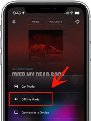 Can I Listen to Amazon Music Offline? A Detailed Exploration