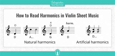 how to read cello music and why understanding musical notation is crucial for composers as well