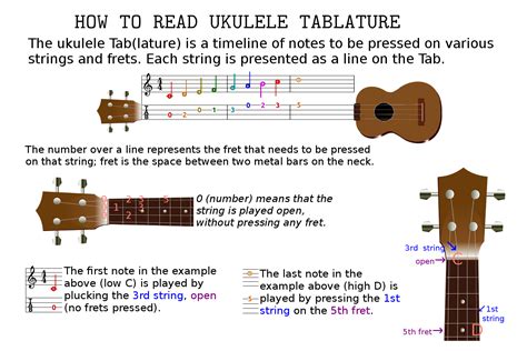 how to read ukulele sheet music: exploring the nuances of finger placement and strumming patterns