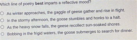 which line of poetry best imparts a reflective mood? Exploring the Depths of Reflective Verses Across Literatures